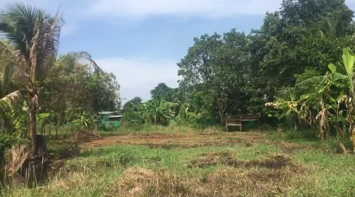 ขายที่ดิน 7 ไร่ คลอง 11 พร้อมบ้าน บ่อ และร่องสวนดั้งเดิม อำเภอหนองเสือ จังหวัดปทุมธานี