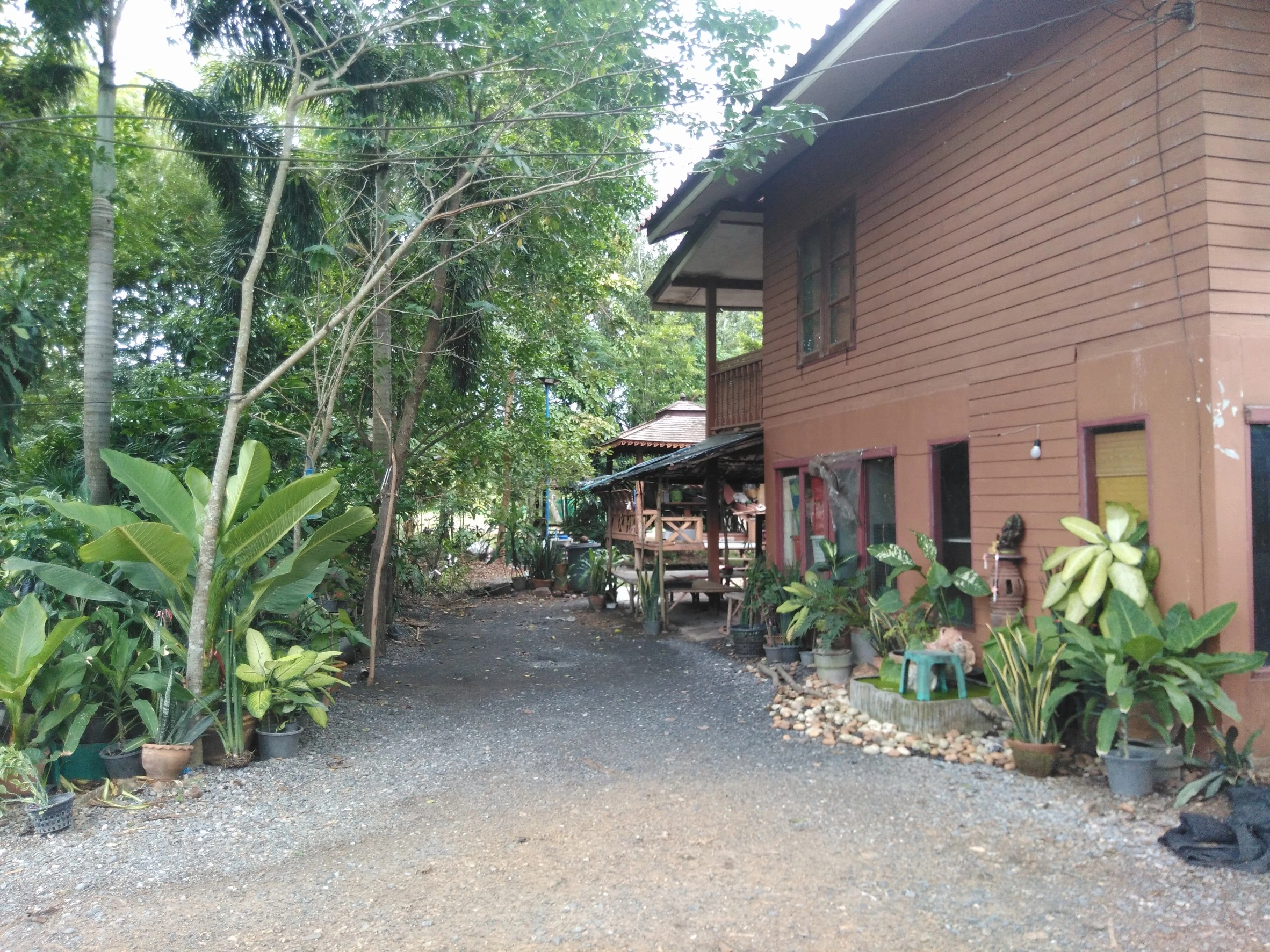 ขายที่ดิน 7 ไร่ คลอง 11 พร้อมบ้าน บ่อ และร่องสวนดั้งเดิม อำเภอหนองเสือ จังหวัดปทุมธานี