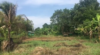 ขายที่ดิน 7 ไร่ คลอง 11 พร้อมบ้าน บ่อ และร่องสวนดั้งเดิม อำเภอหนองเสือ จังหวัดปทุมธานี