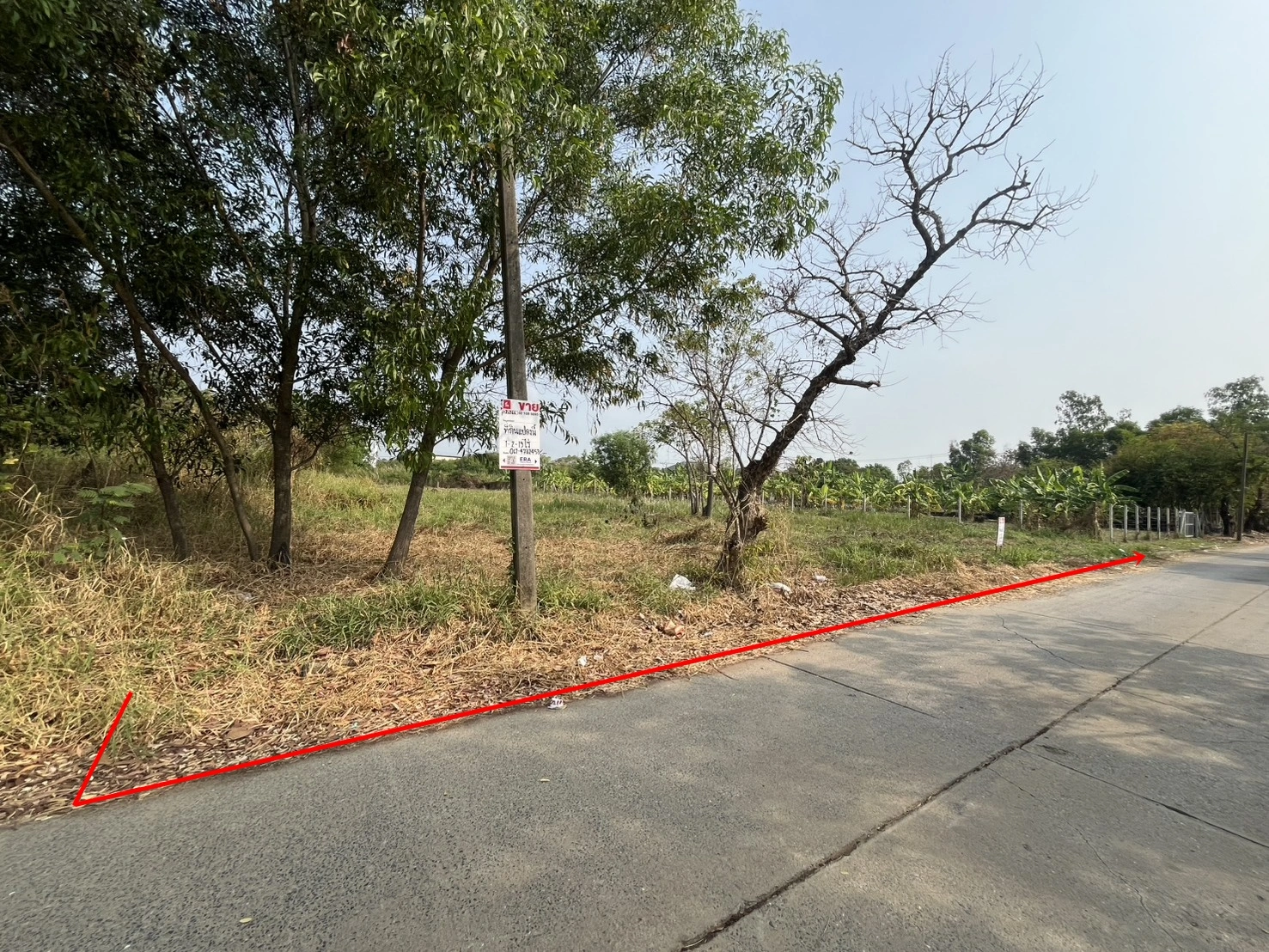 ขายที่ดินถมแล้ว 1-2-19 ไร่ โครงการเวิลด์คลับแลนด์ ถนนคลองหลวง ต.คลองสาม อ.คลองหลวง ปทุมธานี ราคา 9,285,000 บาท