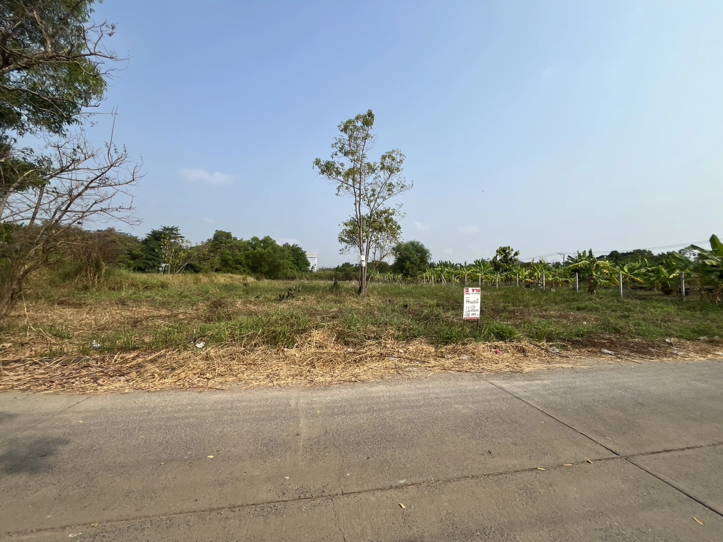 ขายที่ดินถมแล้ว 1-2-19 ไร่ โครงการเวิลด์คลับแลนด์ ถนนคลองหลวง ต.คลองสาม อ.คลองหลวง ปทุมธานี ราคา 9,285,000 บาท