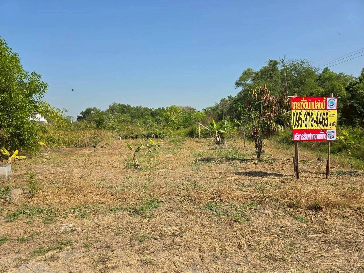 ขายด่วนที่ดิน 63 ตรว ติดถนนสาธารณะ ประชาสำราญ1 แขวงคลองสิบสอง เขตหนองจอก กทม.