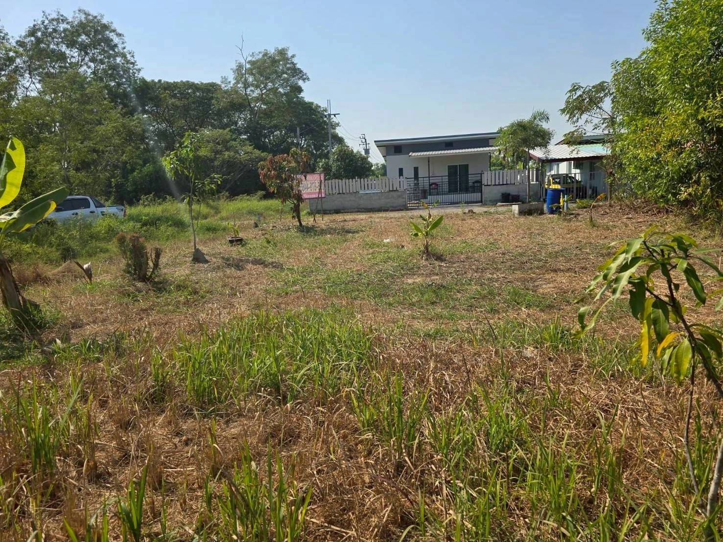 ขายด่วนที่ดิน 63 ตรว ติดถนนสาธารณะ ประชาสำราญ1 แขวงคลองสิบสอง เขตหนองจอก กทม.