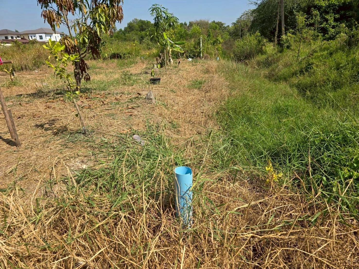 ขายด่วนที่ดิน 63 ตรว ติดถนนสาธารณะ ประชาสำราญ1 แขวงคลองสิบสอง เขตหนองจอก กทม.