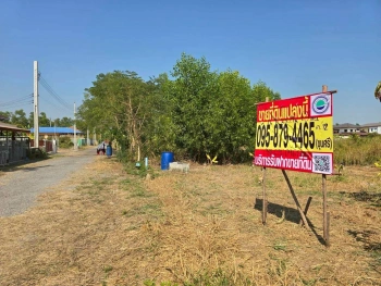 ขายด่วนที่ดิน 63 ตรว ติดถนนสาธารณะ ประชาสำราญ1 แขวงคลองสิบสอง เขตหนองจอก กทม.