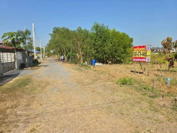 ขายด่วนที่ดิน 63 ตรว ติดถนนสาธารณะ ประชาสำราญ1 แขวงคลองสิบสอง เขตหนองจอก กทม.