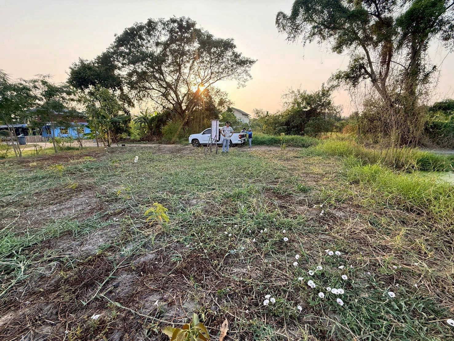 ขายด่วนที่ดินตรงข้ามซีพีแรม(สนง.ใหญ่) 200 ตรว ถมสูงกว่าถนน อ.ลาดหลุมแก้ว จ.ปทุมธานี