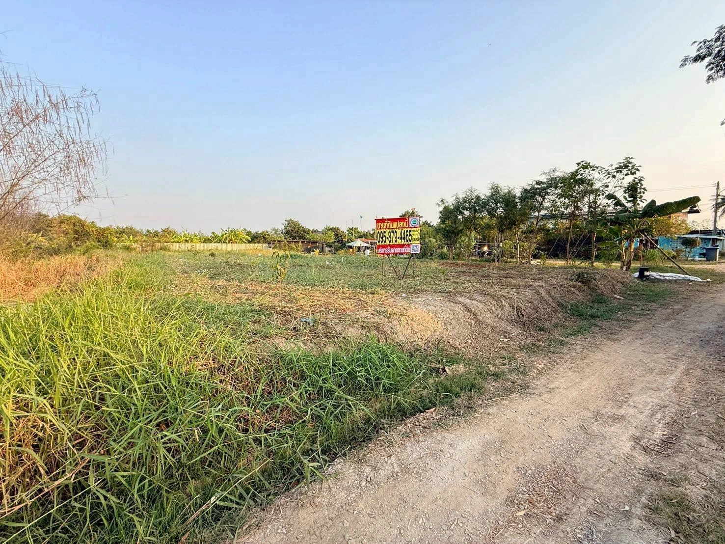 ขายด่วนที่ดินตรงข้ามซีพีแรม(สนง.ใหญ่) 200 ตรว ถมสูงกว่าถนน อ.ลาดหลุมแก้ว จ.ปทุมธานี