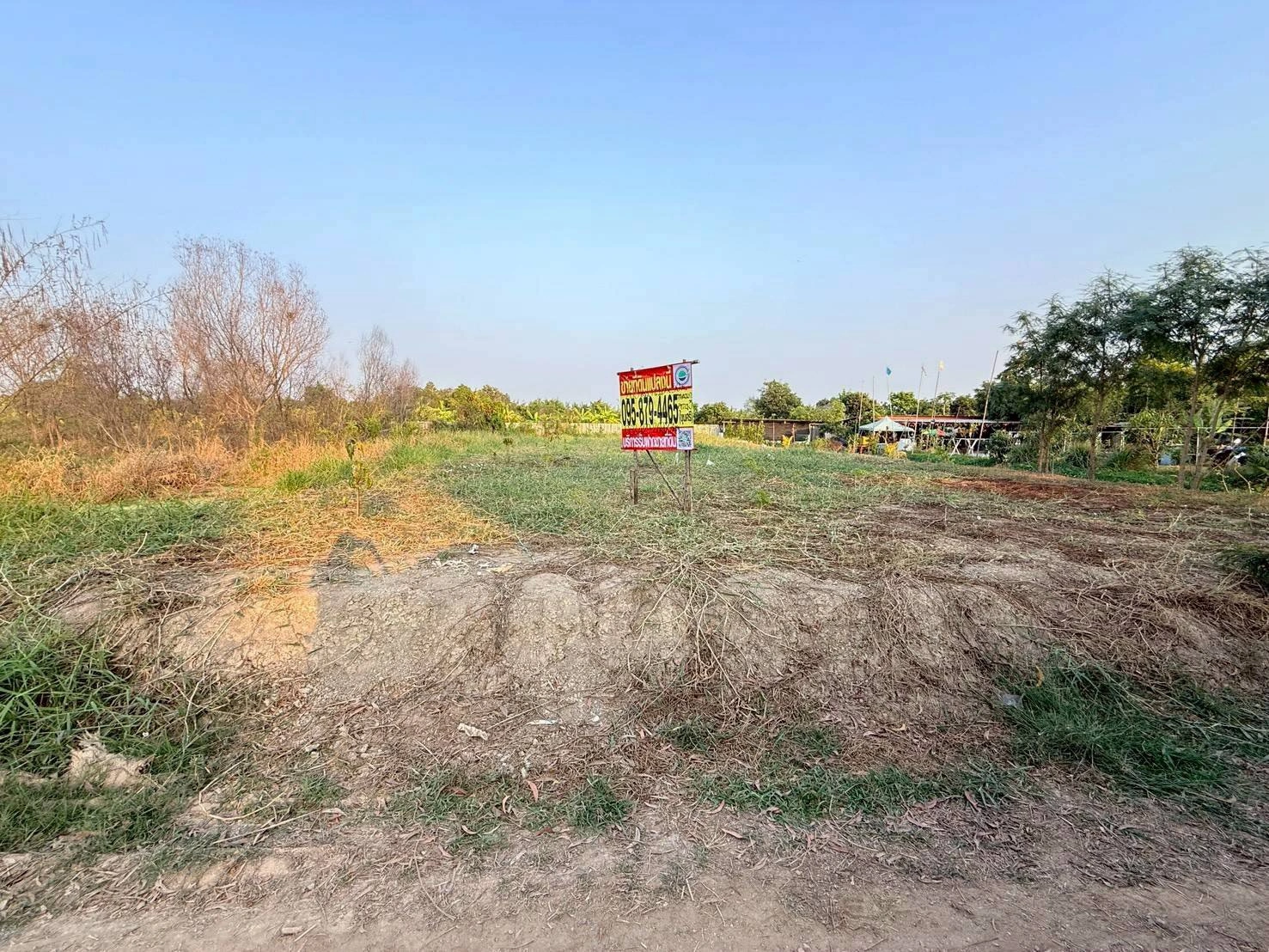 ขายด่วนที่ดินตรงข้ามซีพีแรม(สนง.ใหญ่) 200 ตรว ถมสูงกว่าถนน อ.ลาดหลุมแก้ว จ.ปทุมธานี