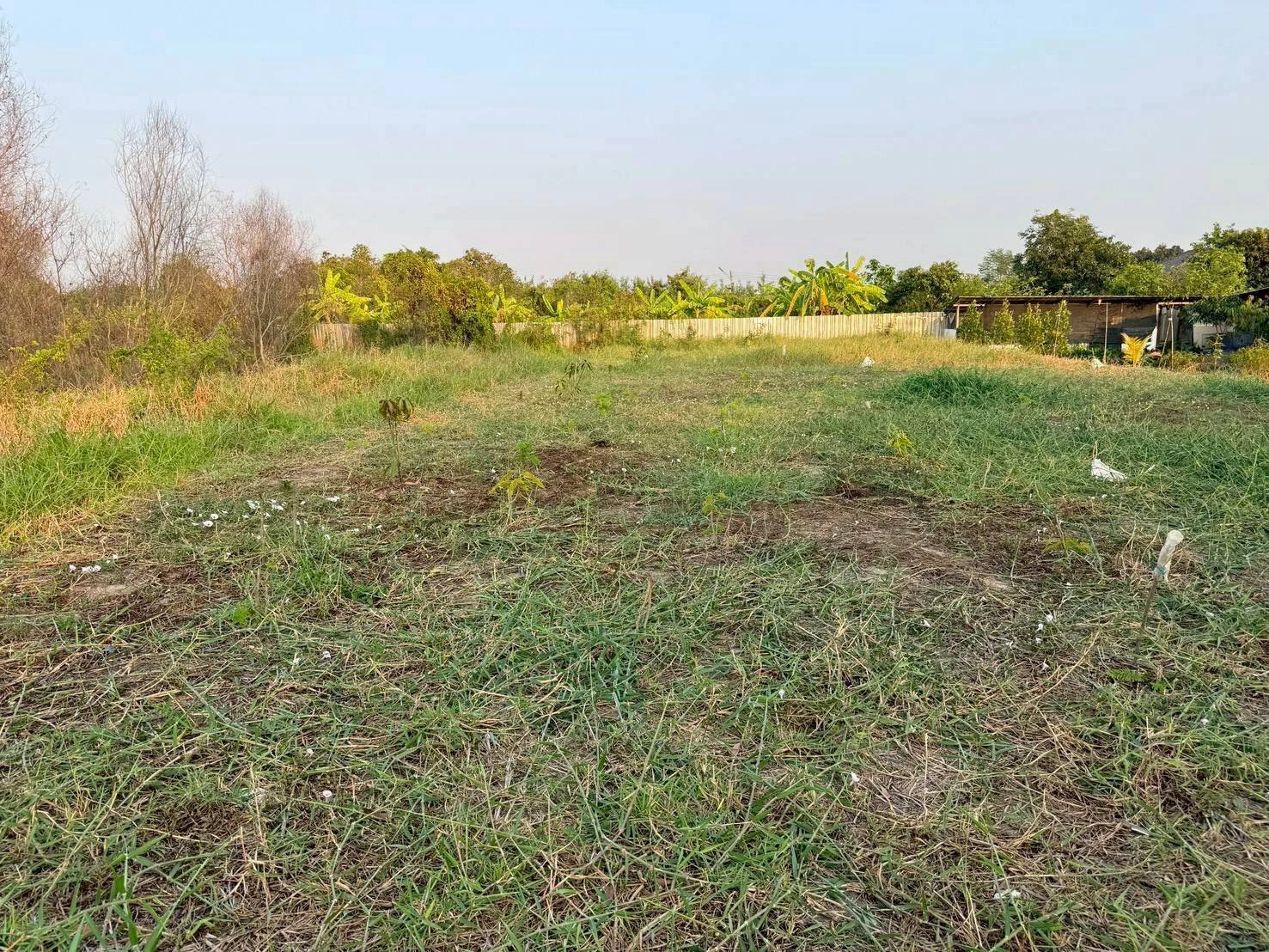 ขายด่วนที่ดินตรงข้ามซีพีแรม(สนง.ใหญ่) 200 ตรว ถมสูงกว่าถนน อ.ลาดหลุมแก้ว จ.ปทุมธานี