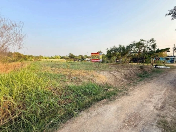 ขายด่วนที่ดินตรงข้ามซีพีแรม(สนง.ใหญ่) 200 ตรว ถมสูงกว่าถนน อ.ลาดหลุมแก้ว จ.ปทุมธานี