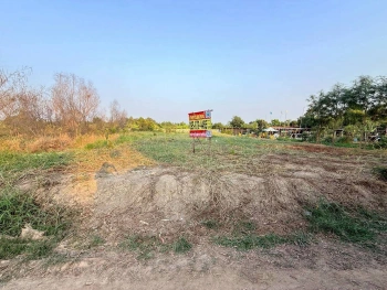 ขายด่วนที่ดินตรงข้ามซีพีแรม(สนง.ใหญ่) 200 ตรว ถมสูงกว่าถนน อ.ลาดหลุมแก้ว จ.ปทุมธานี