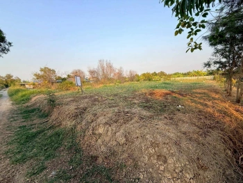 ขายด่วนที่ดินตรงข้ามซีพีแรม(สนง.ใหญ่) 200 ตรว ถมสูงกว่าถนน อ.ลาดหลุมแก้ว จ.ปทุมธานี