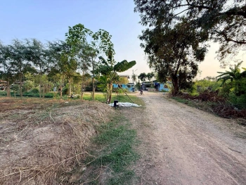 ขายด่วนที่ดินตรงข้ามซีพีแรม(สนง.ใหญ่) 200 ตรว ถมสูงกว่าถนน อ.ลาดหลุมแก้ว จ.ปทุมธานี