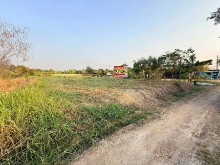 ขายด่วนที่ดินตรงข้ามซีพีแรม(สนง.ใหญ่) 200 ตรว ถมสูงกว่าถนน อ.ลาดหลุมแก้ว จ.ปทุมธานี