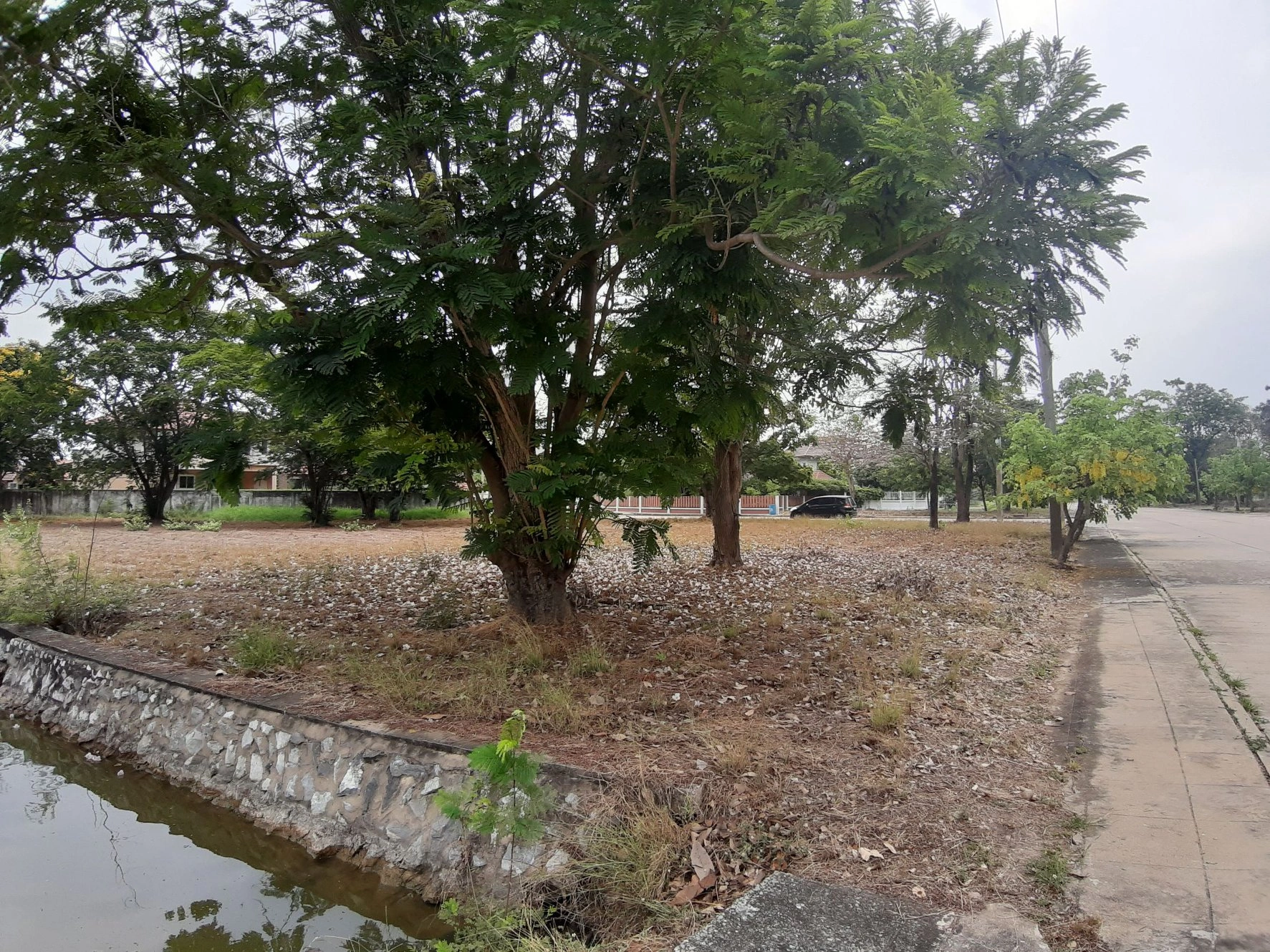 📢🚩ขายที่ดินเปล่าเหมาะสำหรับปลูกสร้างบ้าน 🏡ในโครงการหมู่บ้านเดอะลากูน1 อำเภอสามโคก จังหวัดปทุมธานี ติดละเลสาป 🚩🚩