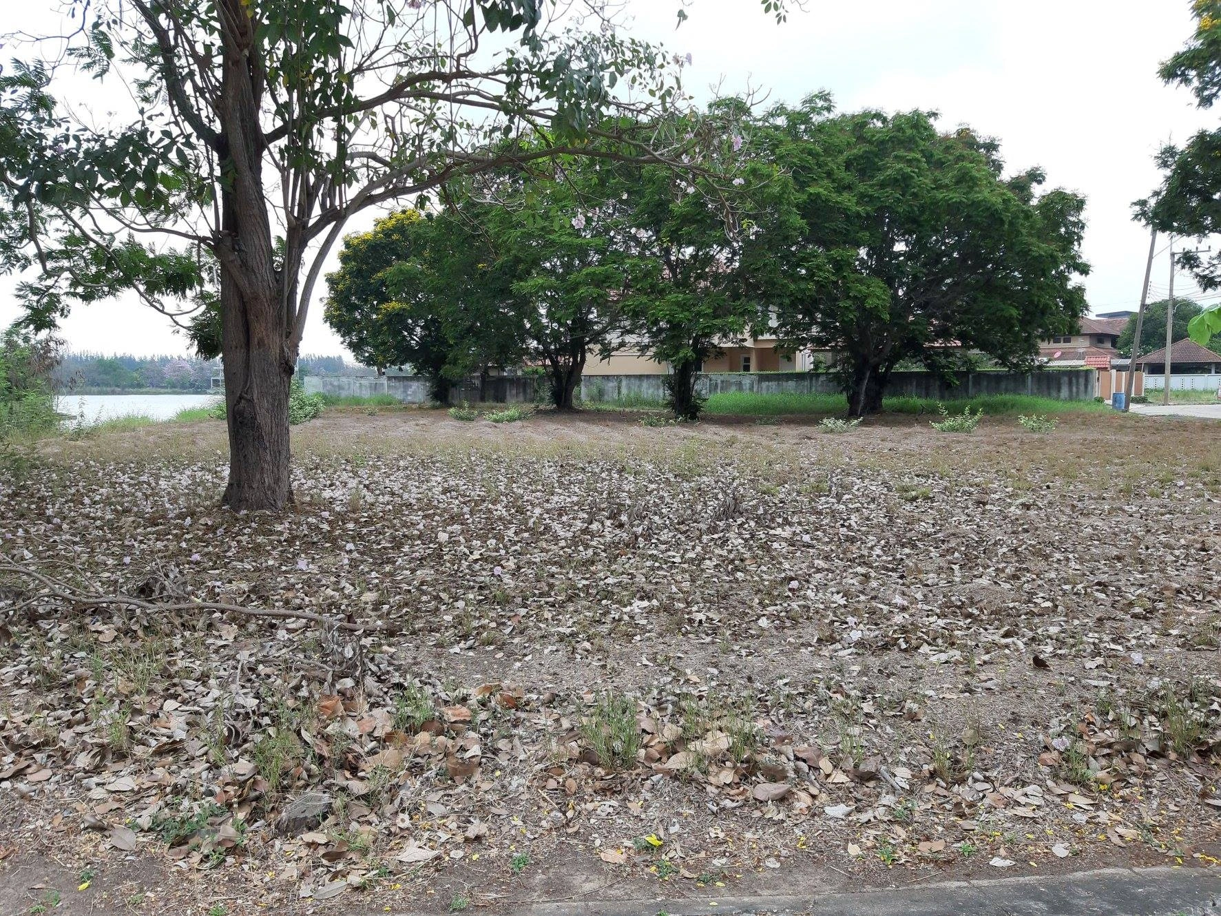 📢🚩ขายที่ดินเปล่าเหมาะสำหรับปลูกสร้างบ้าน 🏡ในโครงการหมู่บ้านเดอะลากูน1 อำเภอสามโคก จังหวัดปทุมธานี ติดละเลสาป 🚩🚩