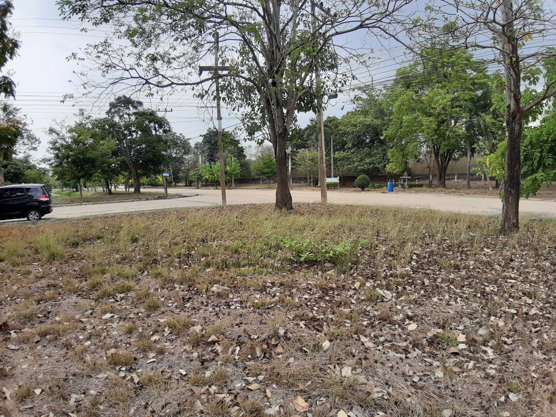 📢🚩ขายที่ดินเปล่าเหมาะสำหรับปลูกสร้างบ้าน 🏡ในโครงการหมู่บ้านเดอะลากูน1 อำเภอสามโคก จังหวัดปทุมธานี ติดละเลสาป 🚩🚩