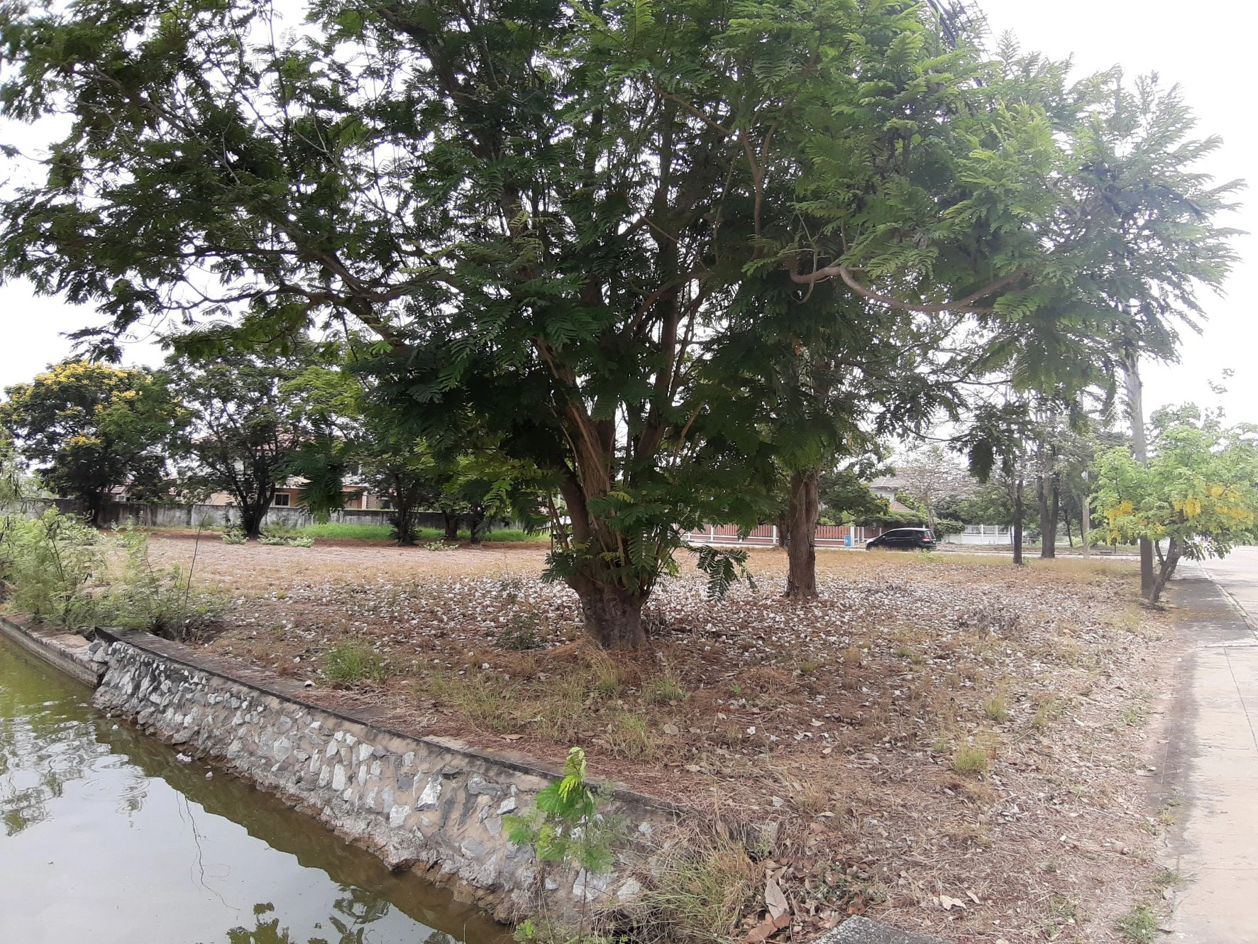 📢🚩ขายที่ดินเปล่าเหมาะสำหรับปลูกสร้างบ้าน 🏡ในโครงการหมู่บ้านเดอะลากูน1 อำเภอสามโคก จังหวัดปทุมธานี ติดละเลสาป 🚩🚩