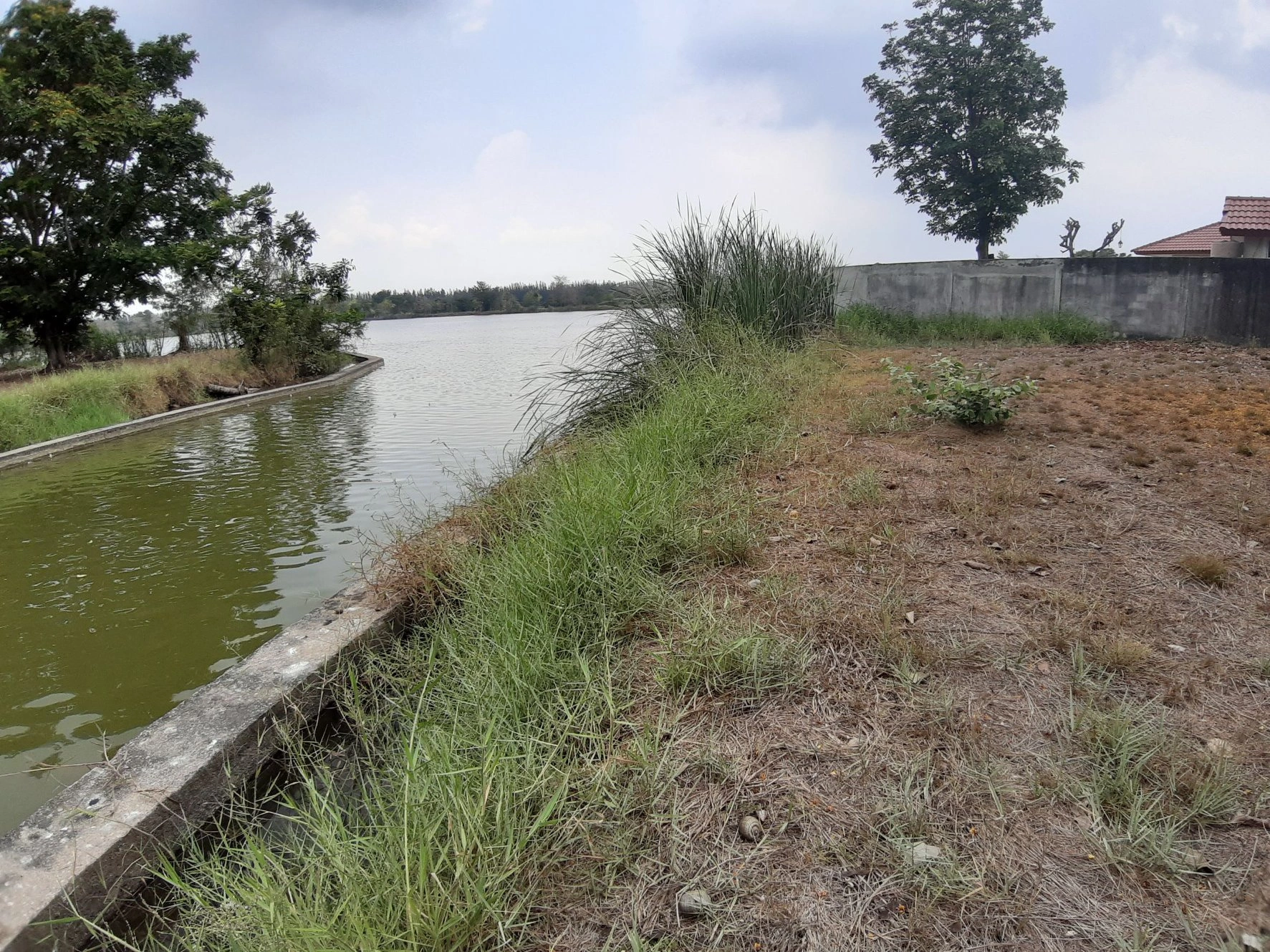 📢🚩ขายที่ดินเปล่าเหมาะสำหรับปลูกสร้างบ้าน 🏡ในโครงการหมู่บ้านเดอะลากูน1 อำเภอสามโคก จังหวัดปทุมธานี ติดละเลสาป 🚩🚩