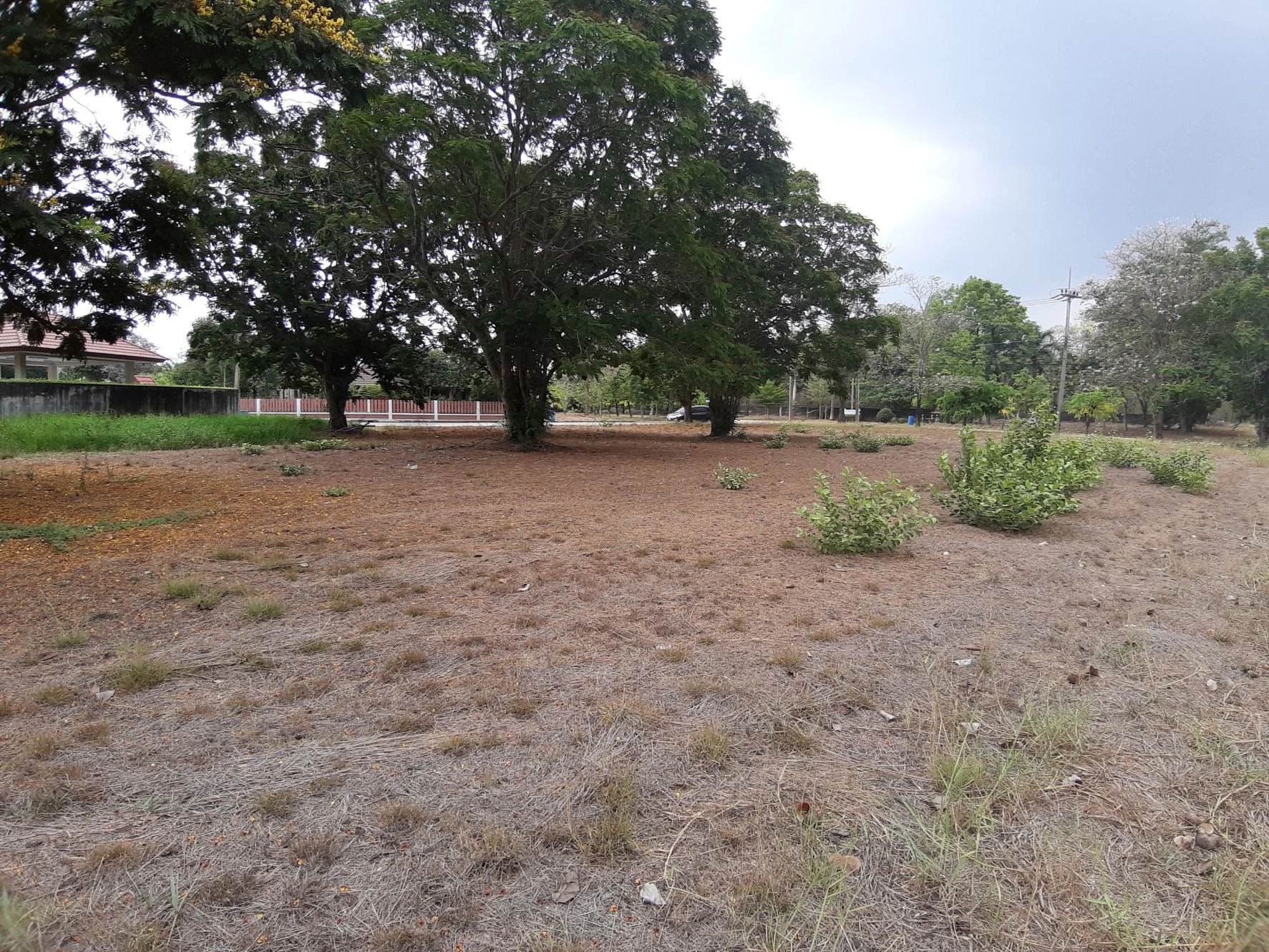 📢🚩ขายที่ดินเปล่าเหมาะสำหรับปลูกสร้างบ้าน 🏡ในโครงการหมู่บ้านเดอะลากูน1 อำเภอสามโคก จังหวัดปทุมธานี ติดละเลสาป 🚩🚩