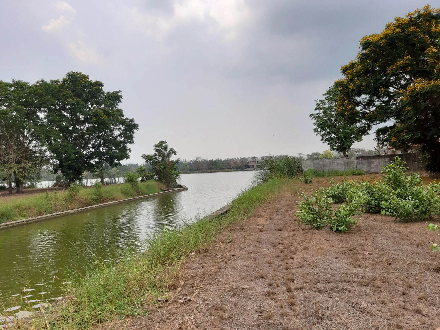 📢🚩ขายที่ดินเปล่าเหมาะสำหรับปลูกสร้างบ้าน 🏡ในโครงการหมู่บ้านเดอะลากูน1 อำเภอสามโคก จังหวัดปทุมธานี ติดละเลสาป 🚩🚩