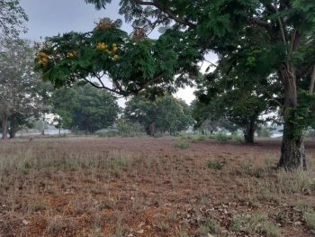 📢🚩ขายที่ดินเปล่าเหมาะสำหรับปลูกสร้างบ้าน 🏡ในโครงการหมู่บ้านเดอะลากูน1 อำเภอสามโคก จังหวัดปทุมธานี ติดละเลสาป 🚩🚩