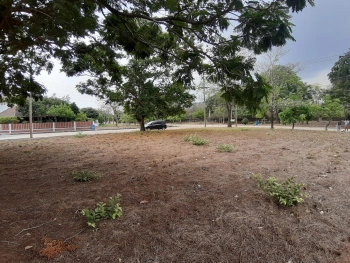 📢🚩ขายที่ดินเปล่าเหมาะสำหรับปลูกสร้างบ้าน 🏡ในโครงการหมู่บ้านเดอะลากูน1 อำเภอสามโคก จังหวัดปทุมธานี ติดละเลสาป 🚩🚩