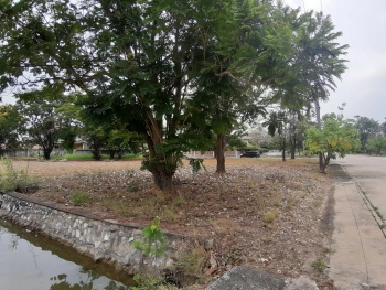 📢🚩ขายที่ดินเปล่าเหมาะสำหรับปลูกสร้างบ้าน 🏡ในโครงการหมู่บ้านเดอะลากูน1 อำเภอสามโคก จังหวัดปทุมธานี ติดละเลสาป 🚩🚩