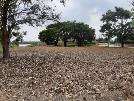 📢🚩ขายที่ดินเปล่าเหมาะสำหรับปลูกสร้างบ้าน 🏡ในโครงการหมู่บ้านเดอะลากูน1 อำเภอสามโคก จังหวัดปทุมธานี ติดละเลสาป 🚩🚩