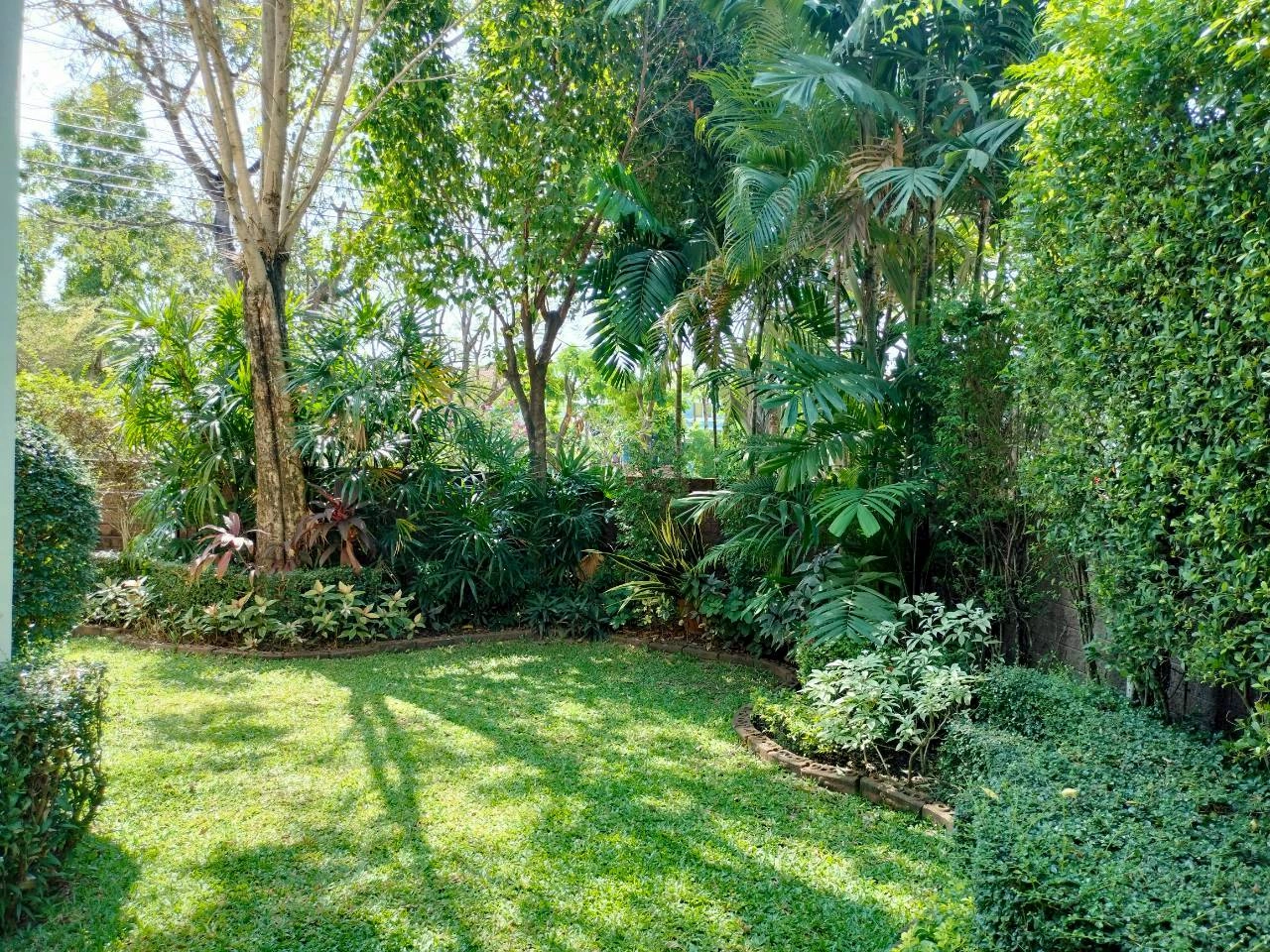 💢🚩บ้านเดี่ยว 73 ตร.ว ติดสวน ทำเลดี 🏠 คาซ่าวิลล์ บางนา สุวรรณภูมิ