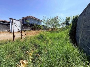 ขายถูกที่ดิน 85 ตรว ถมแล้ว ซ.หมู่บ้านสินสุขการ์เด้น อ.บางบ่อ จ.สมุทปราการ