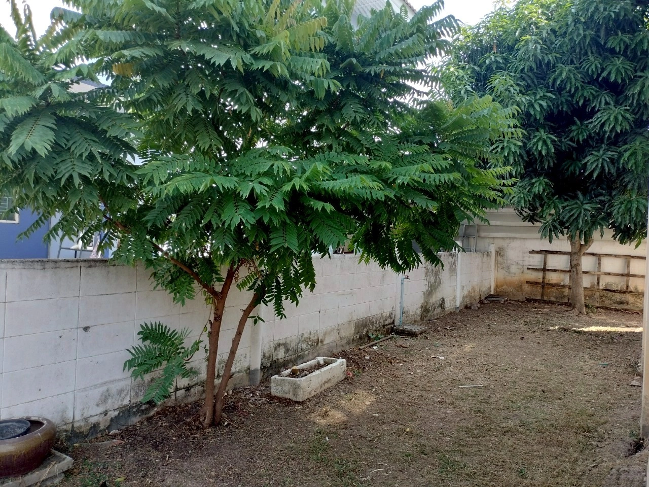 ให้เช่า บ้านเดี่ยว หมู่บ้านสิรีนเฮ้าส์ บางนา-บางบ่อ