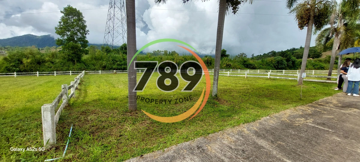 เปิดแบ่งขายที่ดินเขาค้อ ทำเลศักยภาพ ใกล้ชุมชน พร้อมโอน โอกาสดีสำหรับคนที่มองหาที่ดินเพื่ออยู่อาศัย-ลงทุน-เกษียณ