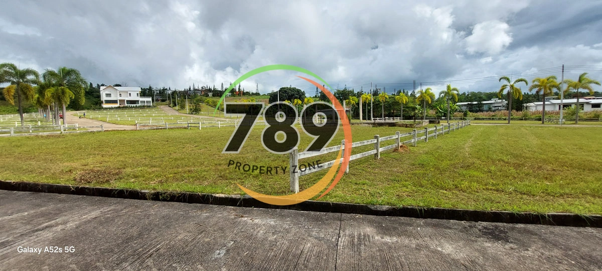 เปิดแบ่งขายที่ดินเขาค้อ ทำเลศักยภาพ ใกล้ชุมชน พร้อมโอน โอกาสดีสำหรับคนที่มองหาที่ดินเพื่ออยู่อาศัย-ลงทุน-เกษียณ