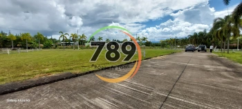 เปิดแบ่งขายที่ดินเขาค้อ ทำเลศักยภาพ ใกล้ชุมชน พร้อมโอน โอกาสดีสำหรับคนที่มองหาที่ดินเพื่ออยู่อาศัย-ลงทุน-เกษียณ