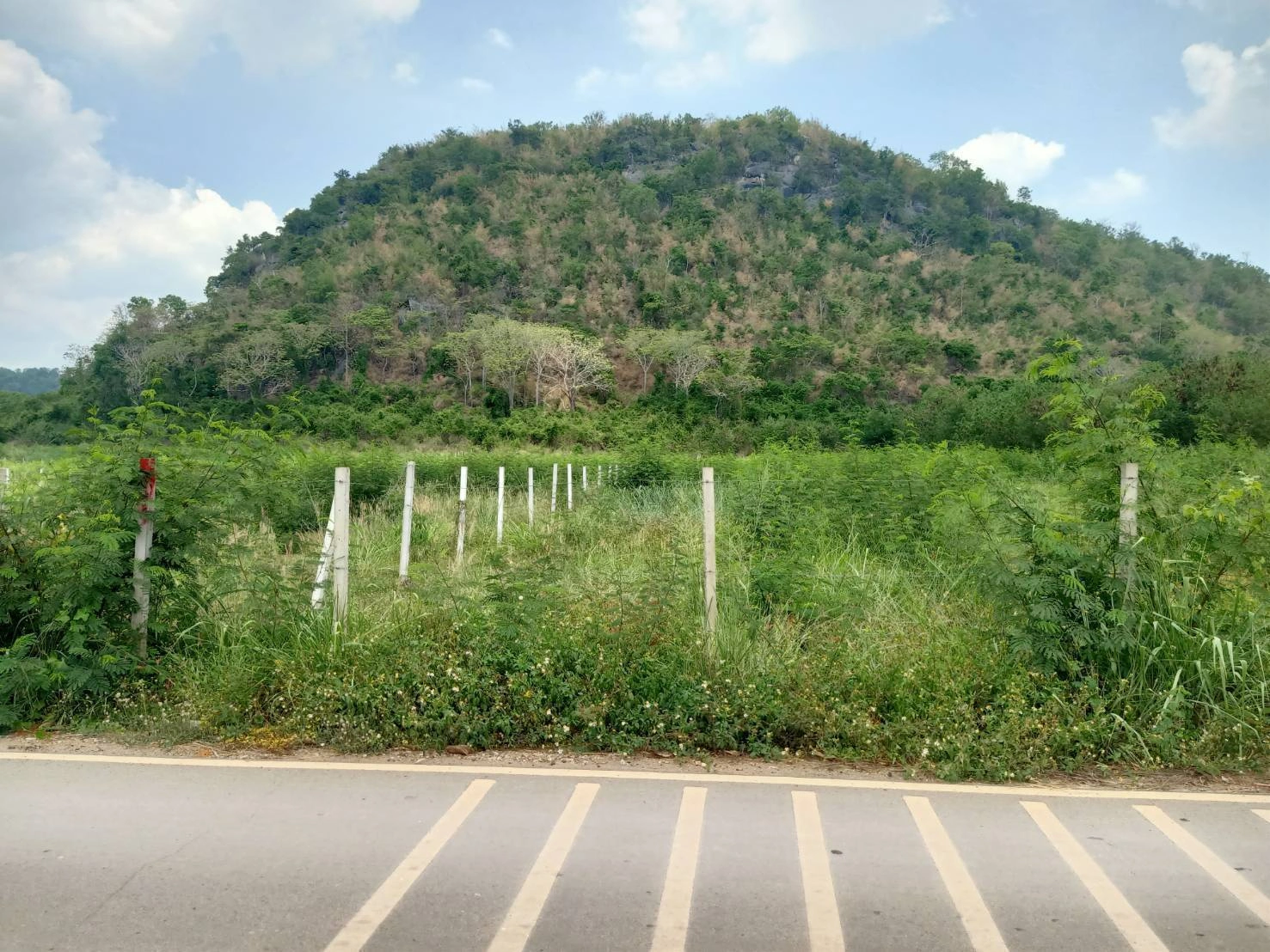 ขายที่ดินเขาใหญ่ หมูสี ที่ติดเขา วิวอุทยานแห่งชาติเขาใหญ่ชัดสวยมาก ท่าช้าง ใกล้ถนนธนะรัชต์ ใกล้เส้น 3052 เดินทางสะดวก ติดลาดยาง ใกล้ร้านค้าตลาด ที่สวยมากวิวเขาล้อมรอบ ราคาดีมาก 087-9074045