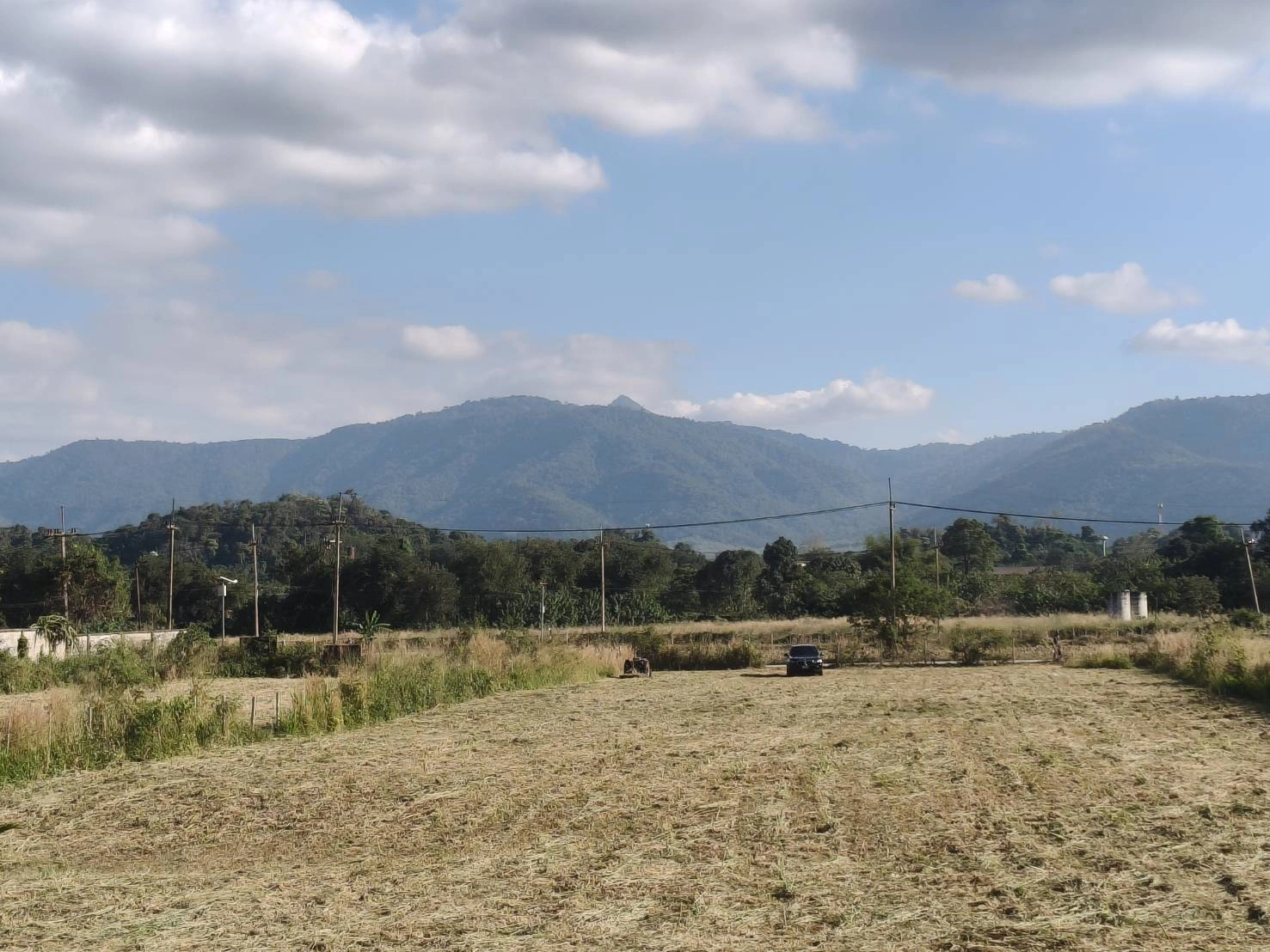 ขายที่ดินเขาใหญ่ หมูสี ที่ติดเขา วิวอุทยานแห่งชาติเขาใหญ่ชัดสวยมาก ท่าช้าง ใกล้ถนนธนะรัชต์ ใกล้เส้น 3052 เดินทางสะดวก ติดลาดยาง ใกล้ร้านค้าตลาด ที่สวยมากวิวเขาล้อมรอบ ราคาดีมาก 087-9074045