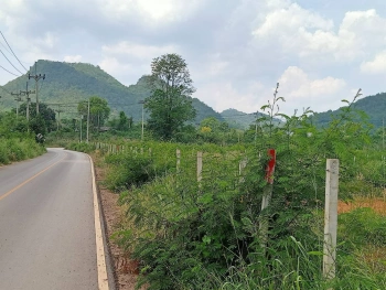 ขายที่ดินเขาใหญ่ หมูสี ที่ติดเขา วิวอุทยานแห่งชาติเขาใหญ่ชัดสวยมาก ท่าช้าง ใกล้ถนนธนะรัชต์ ใกล้เส้น 3052 เดินทางสะดวก ติดลาดยาง ใกล้ร้านค้าตลาด ที่สวยมากวิวเขาล้อมรอบ ราคาดีมาก 087-9074045