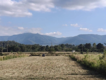 ขายที่ดินเขาใหญ่ หมูสี ที่ติดเขา วิวอุทยานแห่งชาติเขาใหญ่ชัดสวยมาก ท่าช้าง ใกล้ถนนธนะรัชต์ ใกล้เส้น 3052 เดินทางสะดวก ติดลาดยาง ใกล้ร้านค้าตลาด ที่สวยมากวิวเขาล้อมรอบ ราคาดีมาก 087-9074045