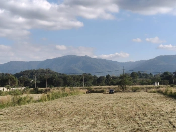 ขายที่ดินเขาใหญ่ หมูสี ที่ติดเขา วิวอุทยานแห่งชาติเขาใหญ่ชัดสวยมาก ท่าช้าง ใกล้ถนนธนะรัชต์ ใกล้เส้น 3052 เดินทางสะดวก ติดลาดยาง ใกล้ร้านค้าตลาด ที่สวยมากวิวเขาล้อมรอบ ราคาดีมาก 087-9074045