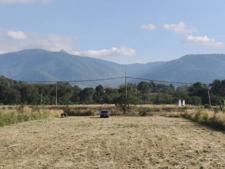 ขายที่ดินเขาใหญ่ หมูสี ที่ติดเขา วิวอุทยานแห่งชาติเขาใหญ่ชัดสวยมาก ท่าช้าง ใกล้ถนนธนะรัชต์ ใกล้เส้น 3052 เดินทางสะดวก ติดลาดยาง ใกล้ร้านค้าตลาด ที่สวยมากวิวเขาล้อมรอบ ราคาดีมาก 087-9074045