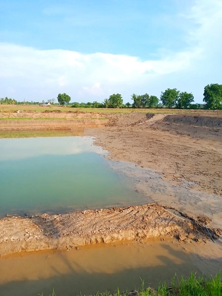 ขายที่ดินติดริมแม่น้ำบางปะกง แปดริ้ว ฉะเชิงเทรา ที่ถมแล้ว 6 ไร่ เหมาะทำ Resort ที่พัก หรือบ้านในวัยเกษียน ล้อมรอบด้วยธรรมชาติ  หรือทำเป็น ร้านอาหาร สไตล์แบบธรรมชาติ ริมแม่น้ำ บางปะกง