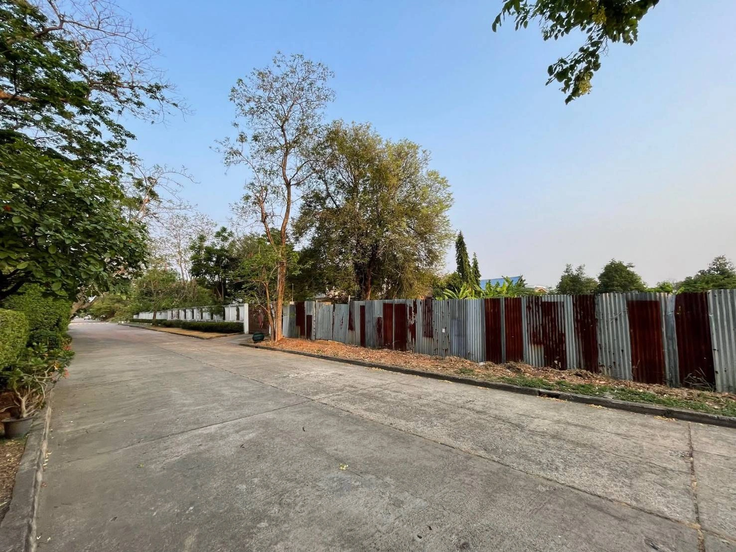 ขายที่ดินหมู่บ้านเสรีวิลล่า Seri Villa ศรีนครินทร์55 หน้าสวนหลวง ร.9 ที่ดิน 296ตร.ว ใกล้รถไฟฟ้าMrt 800ม. อยู่หลังพาราไดซ์พาร์ค ใกล้ซีคอน อุดมสุข บางนาตราด อ่อนนุช พัฒนาการ แปลงสวย rare itemสุด 0879074045