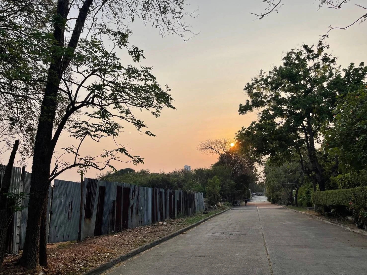 ขายที่ดินหมู่บ้านเสรีวิลล่า Seri Villa ศรีนครินทร์55 หน้าสวนหลวง ร.9 ที่ดิน 296ตร.ว ใกล้รถไฟฟ้าMrt 800ม. อยู่หลังพาราไดซ์พาร์ค ใกล้ซีคอน อุดมสุข บางนาตราด อ่อนนุช พัฒนาการ แปลงสวย rare itemสุด 0879074045