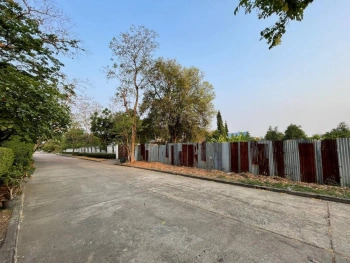 ขายที่ดินหมู่บ้านเสรีวิลล่า Seri Villa ศรีนครินทร์55 หน้าสวนหลวง ร.9 ที่ดิน 296ตร.ว ใกล้รถไฟฟ้าMrt 800ม. อยู่หลังพาราไดซ์พาร์ค ใกล้ซีคอน อุดมสุข บางนาตราด อ่อนนุช พัฒนาการ แปลงสวย rare itemสุด 0879074045