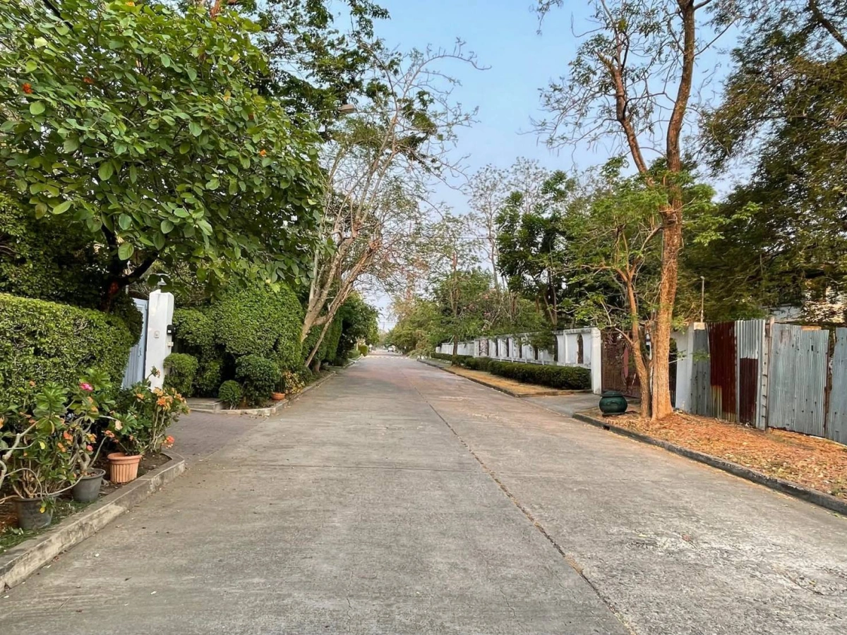 ขายที่ดินหมู่บ้านเสรีวิลล่า Seri Villa ศรีนครินทร์55 หน้าสวนหลวง ร.9 ที่ดิน 296ตร.ว ใกล้รถไฟฟ้าMrt 800ม. อยู่หลังพาราไดซ์พาร์ค ใกล้ซีคอน อุดมสุข บางนาตราด อ่อนนุช พัฒนาการ แปลงสวย rare itemสุด 0879074045