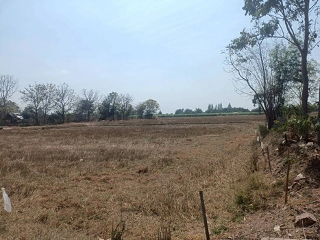 ที่ดินขนาด 6 ไร่ 3 งาน 84 ตารางวา ตำบลทุ่งหลวง อำเภอปากท่อ จังหวัดราชบุรี ราคา 2,990,000 บาท