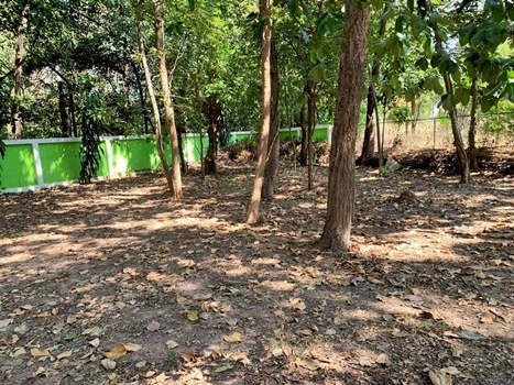 บ้านพร้อมที่ดินขนาดใหญ่ 1 ไร่ 3 งาน 97.9 ตารางวา (รวม 797.9 ตารางวา) ในตำบลจอหอ เมืองนครราชสีมา ราคา 15,000,000 บาท