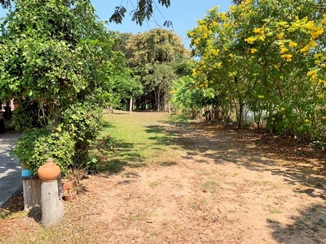 บ้านพร้อมที่ดินขนาดใหญ่ 1 ไร่ 3 งาน 97.9 ตารางวา (รวม 797.9 ตารางวา) ในตำบลจอหอ เมืองนครราชสีมา ราคา 15,000,000 บาท